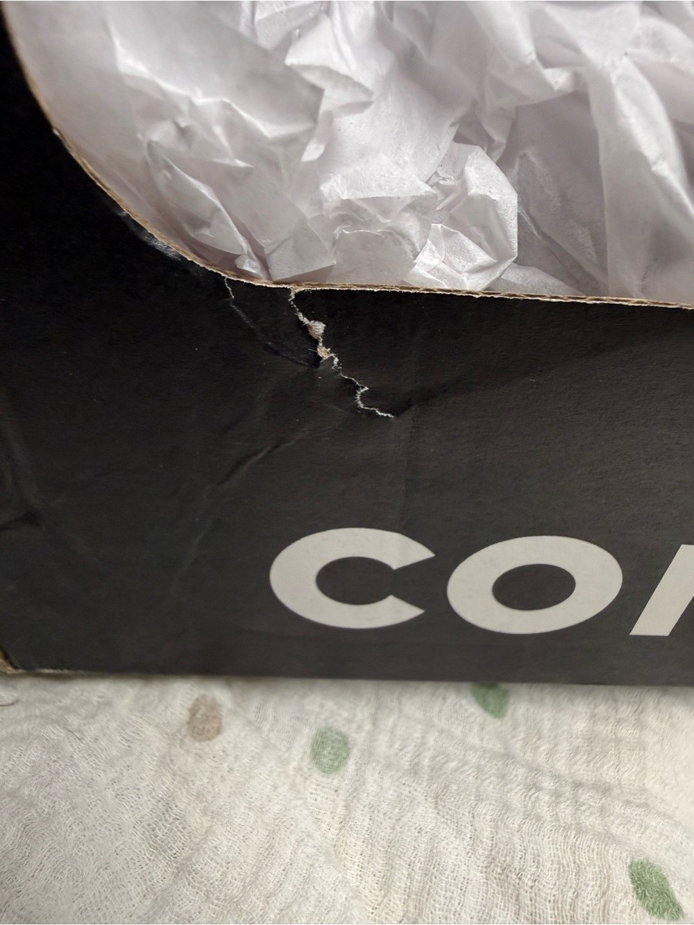 Converse Black Low-Top Canvas Sneaker with White Accents - Picture 5 of 9